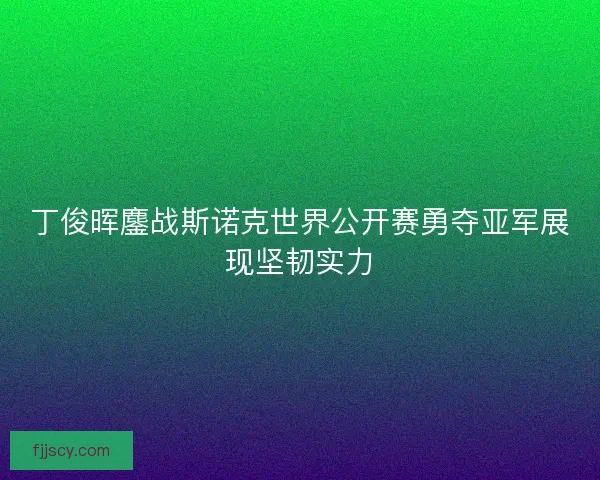 丁俊晖鏖战斯诺克世界公开赛勇夺亚军展现坚韧实力